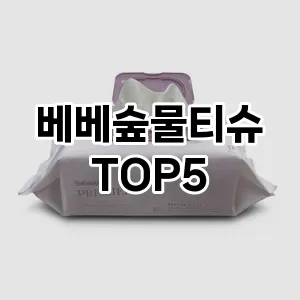 베베숲물티슈 인기 TOP5 비교분석