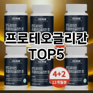 프로테오글리칸 인기 TOP5 최저가 정보