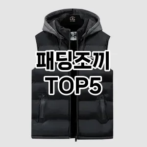 패딩조끼 인기 TOP5 필수 아이템