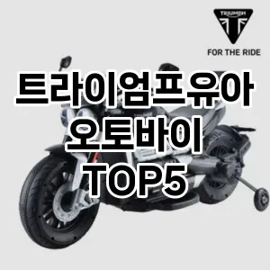 트라이엄프유아오토바이 인기 TOP5 비교분석