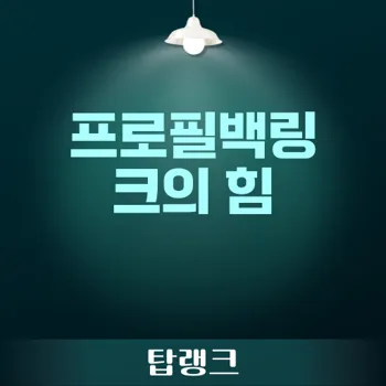 프로필백링크로 웹사이트 검색 노출 최적화하는 법