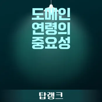 도메인 연령이 중요한 이유와 관리 방법