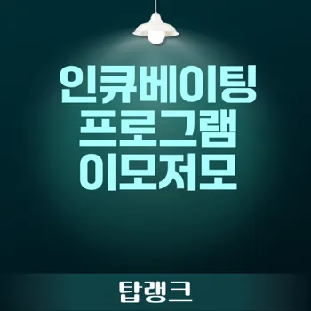 네트워킹 프로그램 효과 극대화하기 위한 인큐베이팅 프로그램 총정리