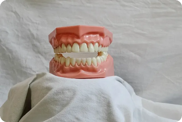 치과마케팅 블로그대행은 꼭 필요한가