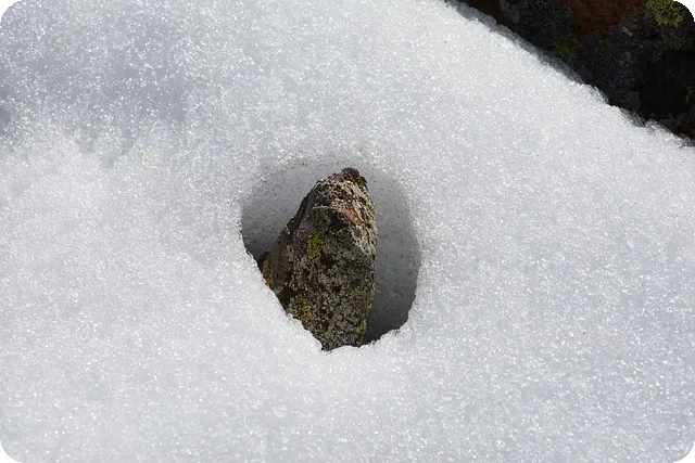 마케팅대학원 선택할까 고민되세요