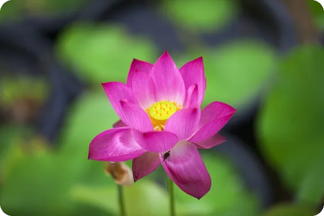 재택부업으로 경제적 자유 얻기