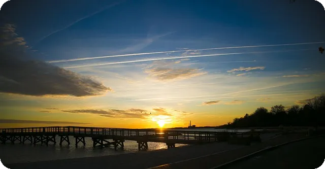 피그마강의로 디자인 실력 향상시키기