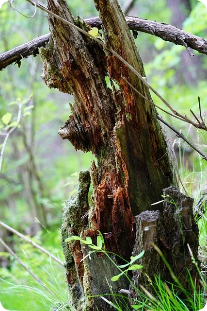 디지털마케팅 성과 높이는 홈페이지 제작 방법은?
