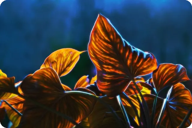 마케팅프로그램의 중요성과 효과는?