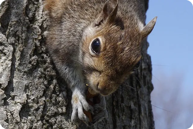 영업대행 전문업체가 필요한 이유는