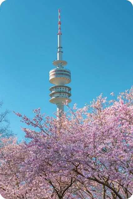 온라인마케팅강의 광고의종류와성공비법