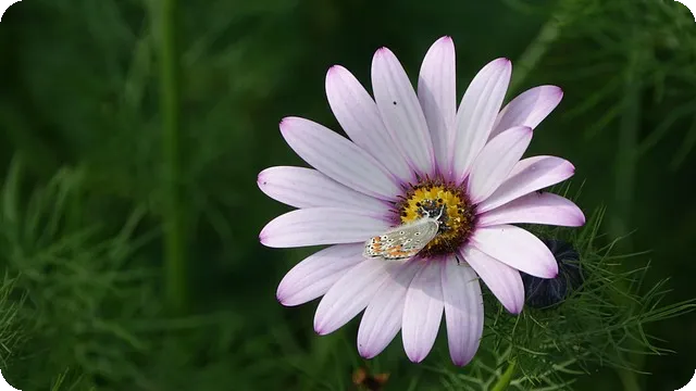 종합광고대행사 추천 및 인기순위 알아보기