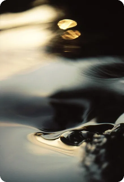 CPA사이트 운영 최적화 방법은?