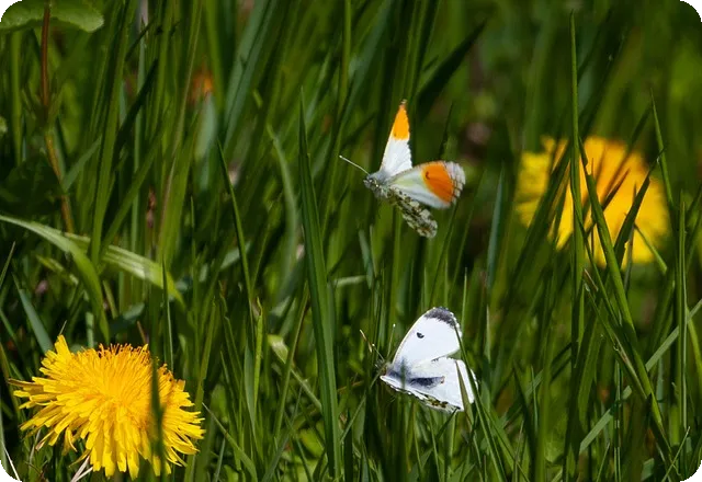 경영지도사마케팅 당신도 합격할 수 있을까