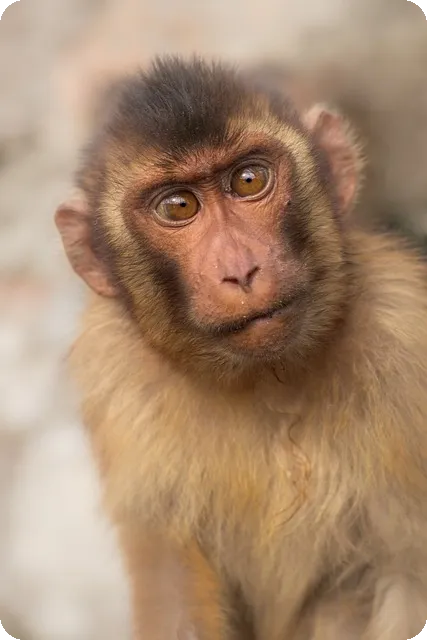 경영지도사마케팅 당신도 합격할 수 있을까
