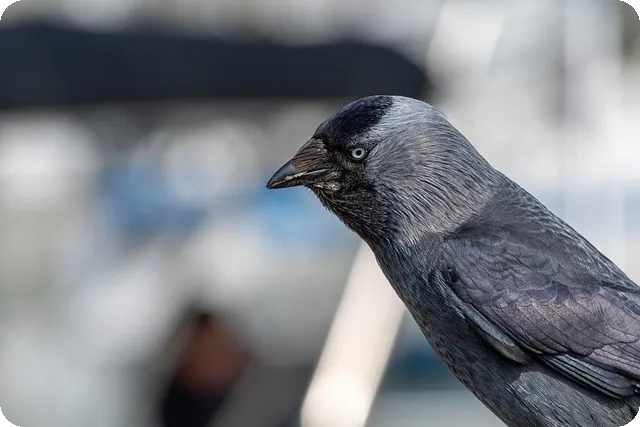 블로그디자인으로 광고비 절감할 수 있을까
