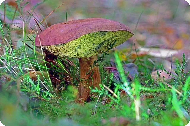 체험단마케팅의 모든 것, 무엇이 필요할까