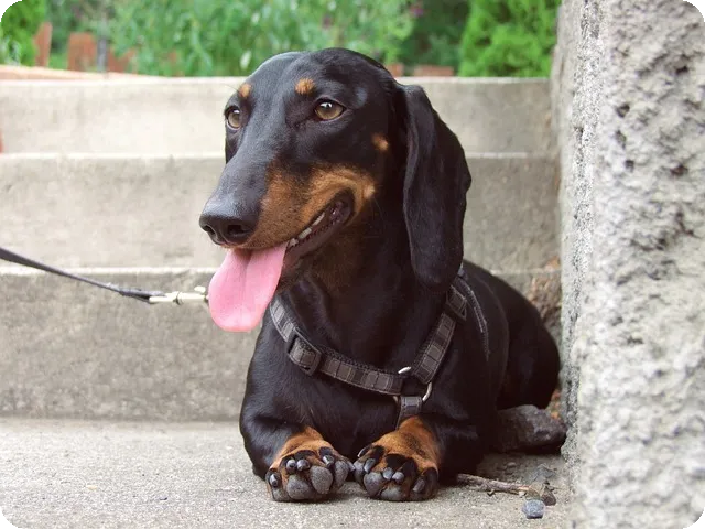 리뷰서비스 단골손님은 왜 리뷰를 안쓰나