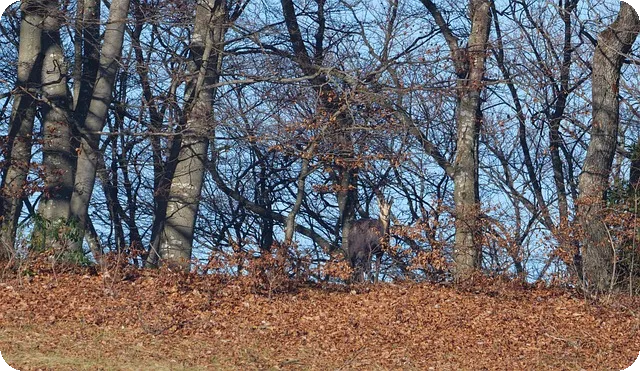SNS 마케팅 전문가 자격증 온라인 교육과정 알아보기