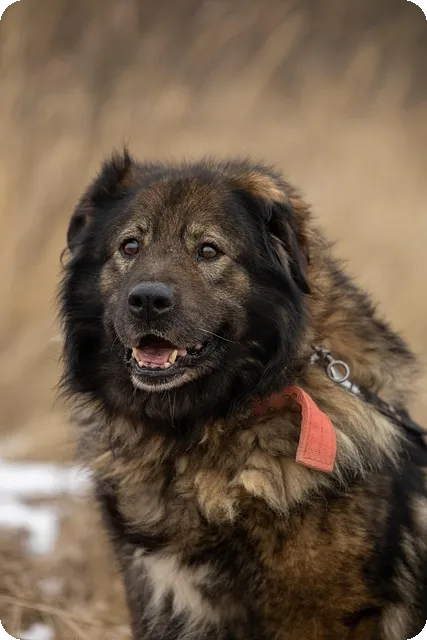 전주 글로벌엠아이지 제안영업 채용