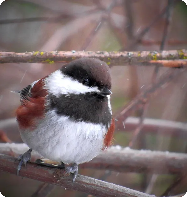전주 글로벌엠아이지 제안영업 채용