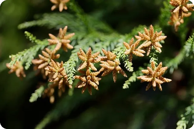 네이버 홍보 전략으로 매출 상승 유도