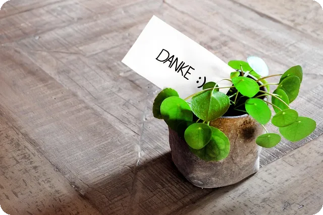 마케팅대행업체 신뢰성 검증 6가지