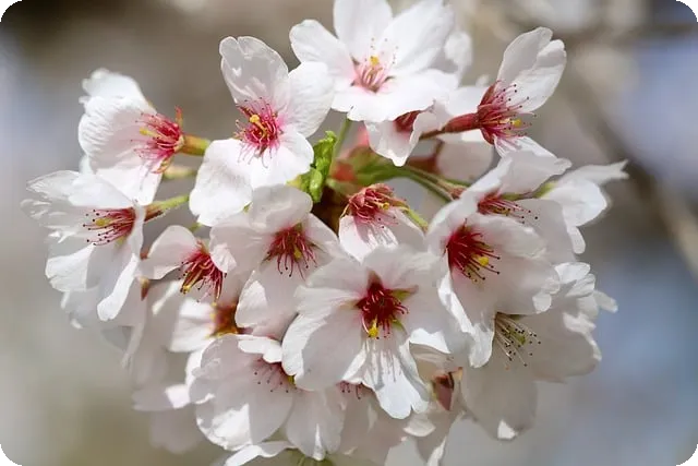 부산 병원 언론보도 효과적으로 작성하는 팁