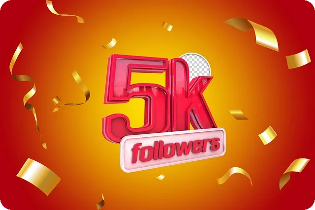 인스타 광고업체 선택으로 실패 회피할 수 있을까