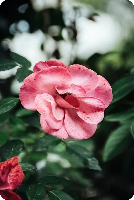 SEO마케팅 대행사 없이 가능할까