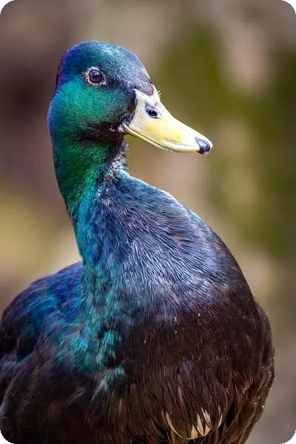 바이럴마케팅업체, 신뢰로 성공을 이끄는 방법은