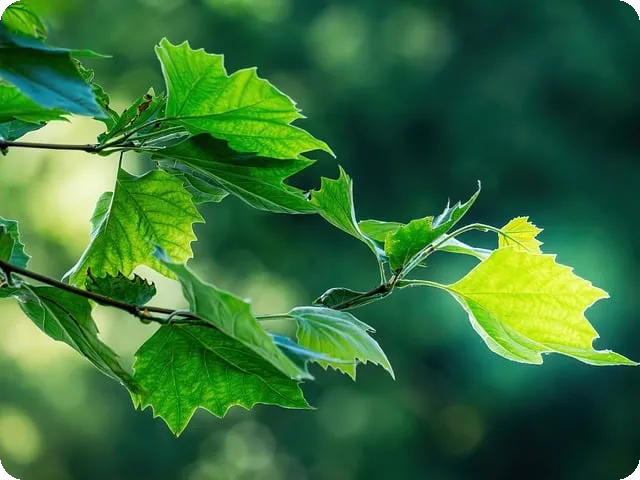 인스타그램 광고비 절감하는 법은 무엇인가