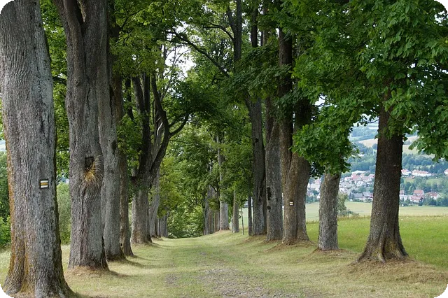 효과적인 광고 전략은 무엇일까