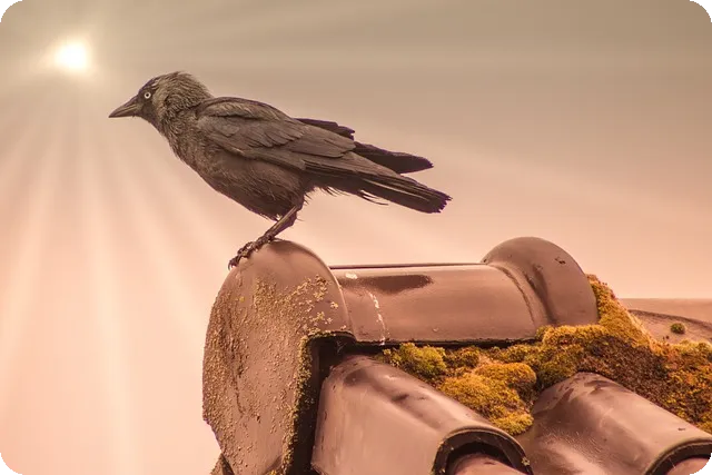 브랜드 성장을 위한 기업마케팅대행 전략