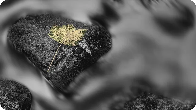 창원광고대행사로 고객유입 극대화하기