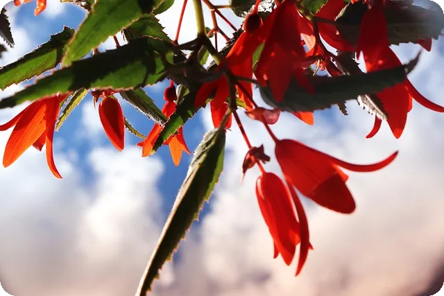 80벳 먹튀 주의 사항과 대책