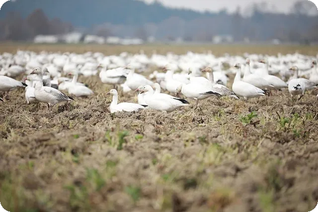 벳16와 먹튀 사건, 진실은 무엇인가