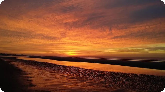 유튜브 프리미엄 저렴하게 이용하는 법은