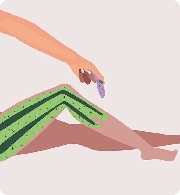 크보벳 이용자 후기와 조언은 무엇일까