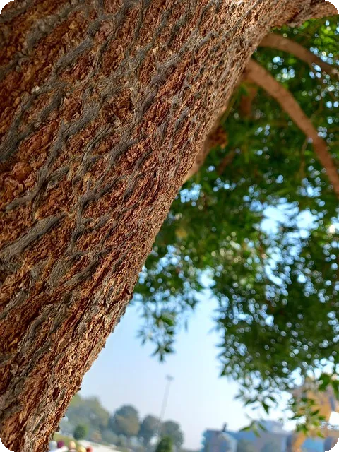 토토추천 대구 동성로 초밥 맛집은?