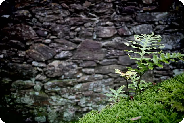 승무패 예측 코번트리 미들즈브러 경기 분석