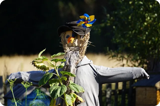 승무패 분석, 축구 경기 승부는 어떻게 될까