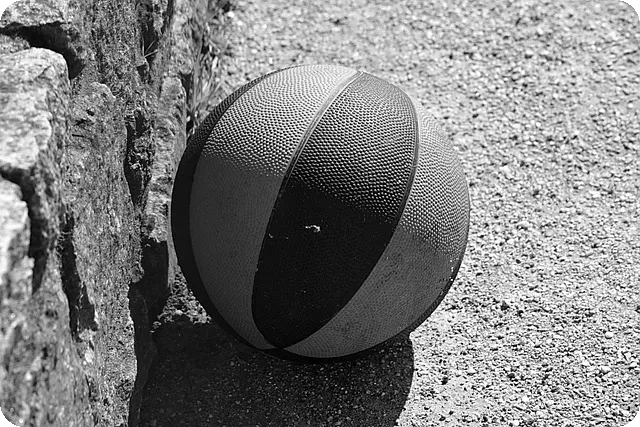NBA일정은 언제 확인할까